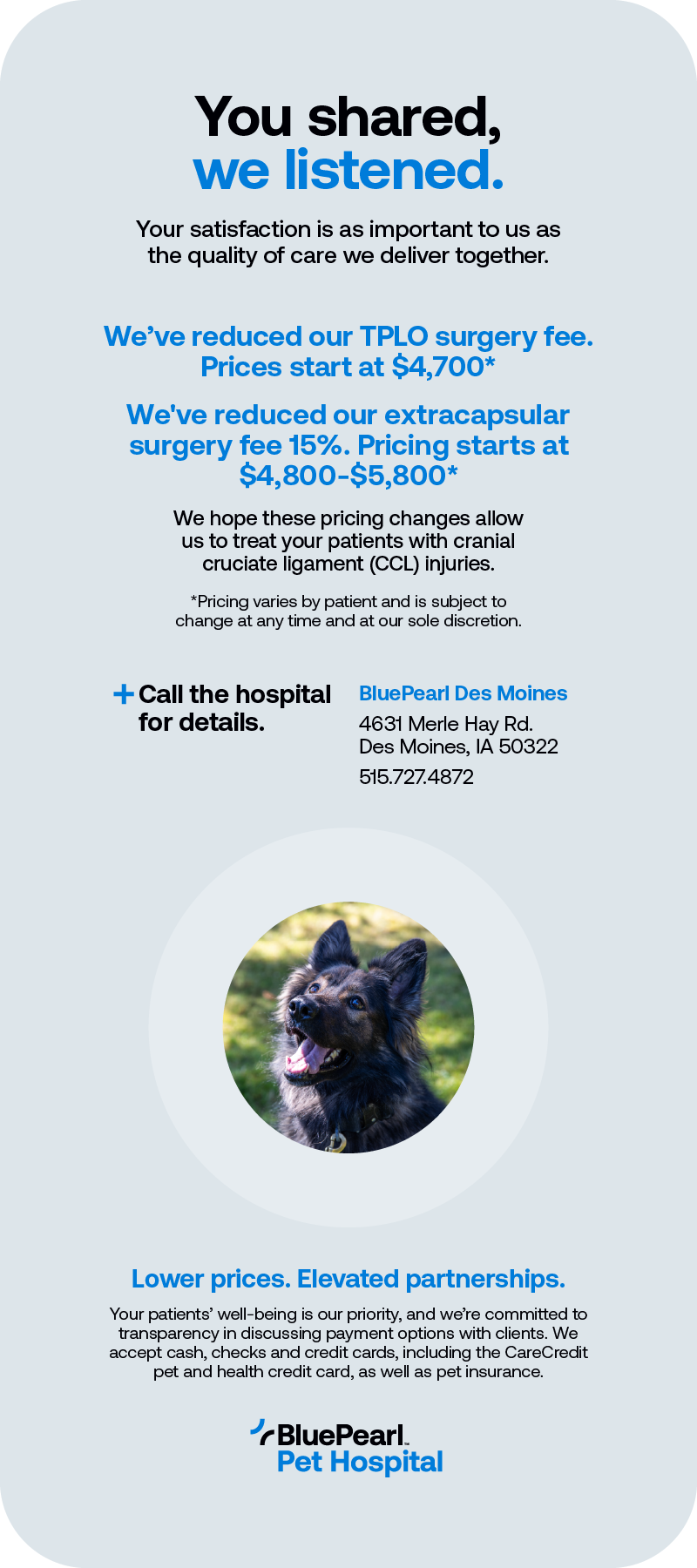 A pricing announcement for BluePearl in Des Moines, IA has text and a photo of a German Shepherd dog.