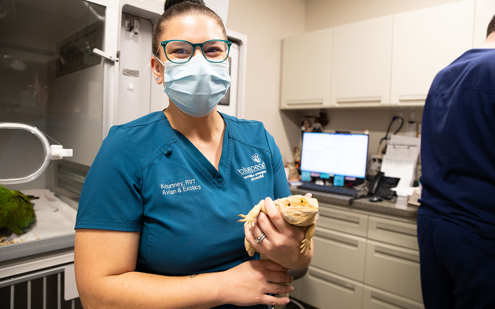 A vet tech holds a reptile