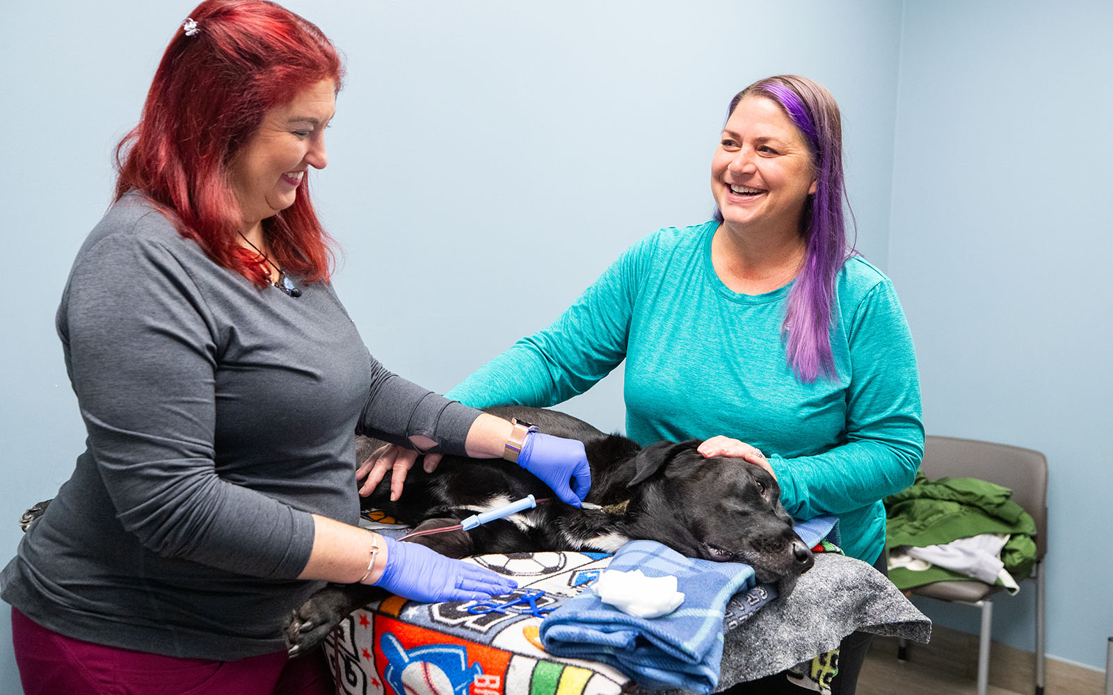 A woman smiles at a laughing blood bank technician while a black and white dog is donating blood.