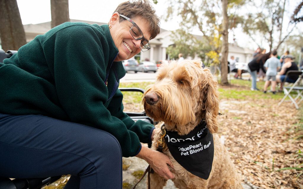 A canine blood donor wearing a bandana sits on the ground next to its owner, who smiles and holds the dog while sitting on a bench.