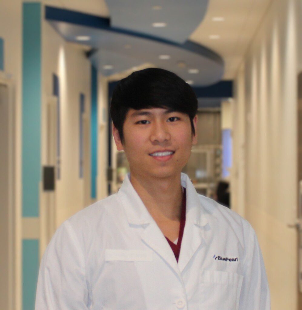 Headshot of Dr. Ivan Fan, DVM emergency medicine.