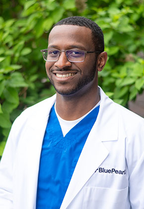 Dr. Bradford Holman smiles outside in front of a leafy, green tree. He is wearing blue scrubs and his BluePearl white coat.