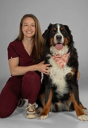 Dr. Olivia Ashbaugh smiles for a professional studio shot with her black, white and brown Saint Bernard. She is wearing maroon scrubs while kneeling next to her dog.