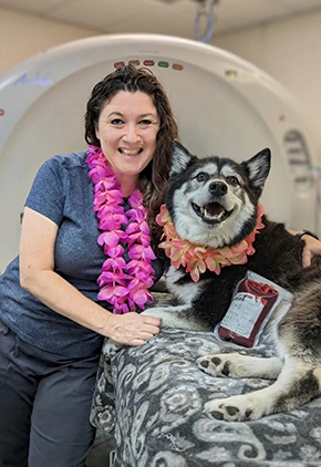 La Lania Hill smiles in the procedure room with a husky who just completed a donation. They both have leis around their necks and the husky appears to be smiling as well.