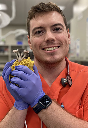 Dr. Dominic Barra smiles in the triage area of our Clearwater hospital. He has on blue gloves while holding a baby opossum that is wrapped in a small towel. He is wearing orange scrubs and has a stethoscope around his neck.
