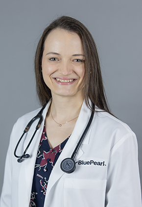 Dr. Kaylee Motter smiles for a professional headshot in front of a grey background. She is wearing a dark, patterned shirt, her BluePearl white coat and has a stethoscope around her neck.
