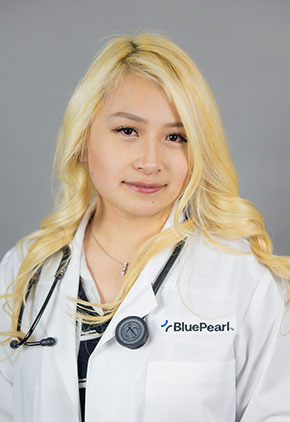 Dr. Diamond Nguyen smiles for a professional headshot in front of a grey background. She is wearing a dark blue striped shirt, her BluePearl white coat and has a stethoscope around her neck.