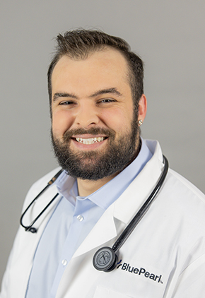 Dr. Joe Catania smiles for a professional headshot in front of a grey background. He is wearing a light blue dress shirt, his BluePearl white coat and has a stethoscope around his neck.