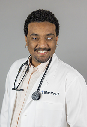 Dr. Getachew Mesfin smiles for a professional headshot in front of a grey background. He is wearing a light peach dress shirt, his BluePearl white coat and has a stethoscope around his neck.
