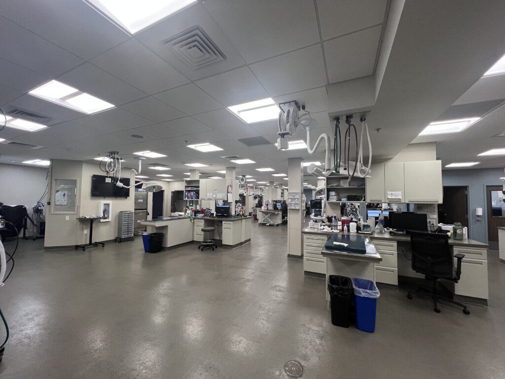 A view of the examination floor at the BluePearl Pet Hospital in Renton, WA.