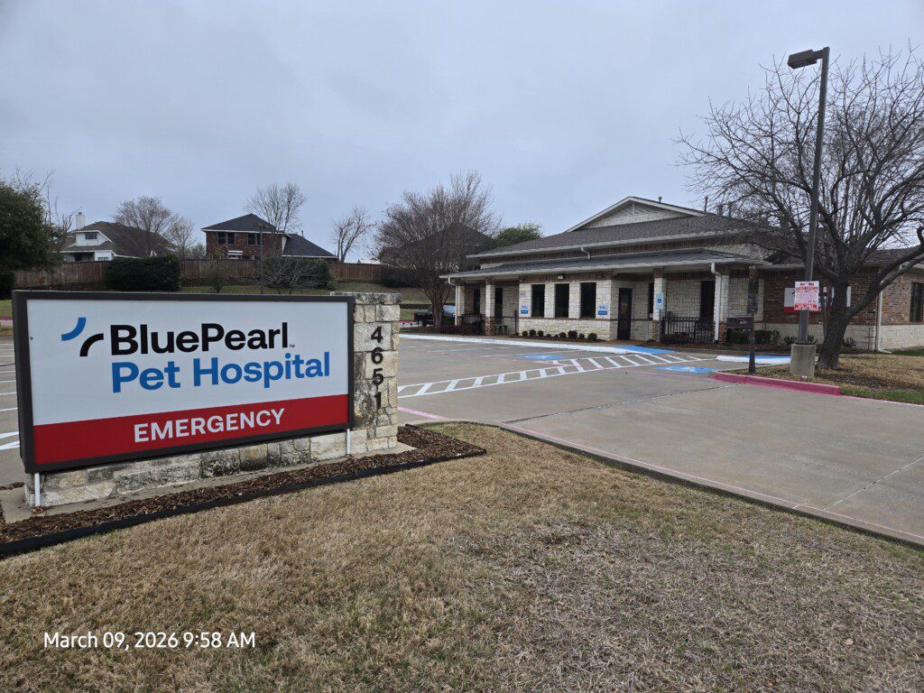An exterior view of the front of the BluePearl Pet Hospital in East Dallas Mesquite, TX.