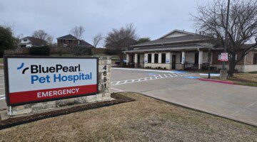 An exterior view of the front of the BluePearl Pet Hospital in East Dallas Mesquite, TX.