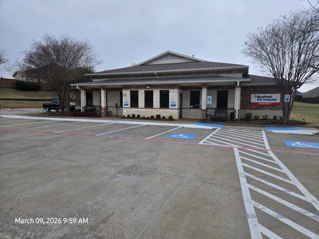 Another exterior view of the front of the BluePearl Pet Hospital in East Dallas Mesquite, TX.