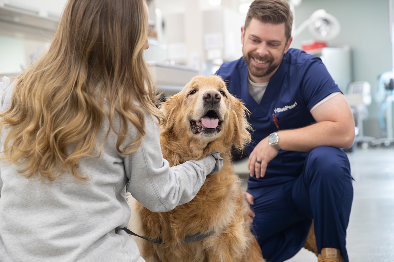 A BluePearl Associates kneels beside a dog to examine it.
