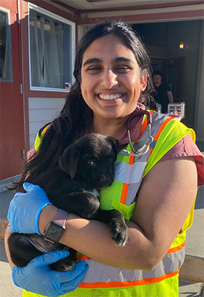Dr. Vi Dharmasena smiles outside of building while holding a small black lab puppy. She is wearing a red t-shirt, a hi-vis vest and blue medical gloves.