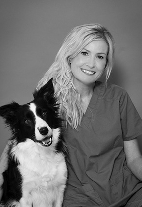 Dr. Faith Lotsikas is a veterinary rehabilitationist at BluePearl Pet Hospital and Skylos Sports Medicine in Maryland.