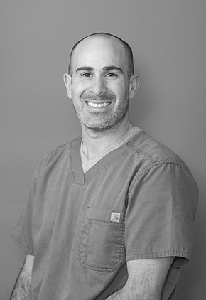 Dr. Peter Lotsikas is a board certified veterinary sports medicine and rehabilitation specialist at BluePearl Pet Hospital and Skylos Sports Medicine in Maryland.