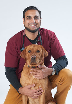 Dr. Sanjay Dick smiles for a professional photo with one of his dogs, a yellow lab. Dr. Dick is kneeling behind his dog, wearing khakis, a maroon scrub top and a grey long sleeve shirt. He has a stethoscope around his neck.