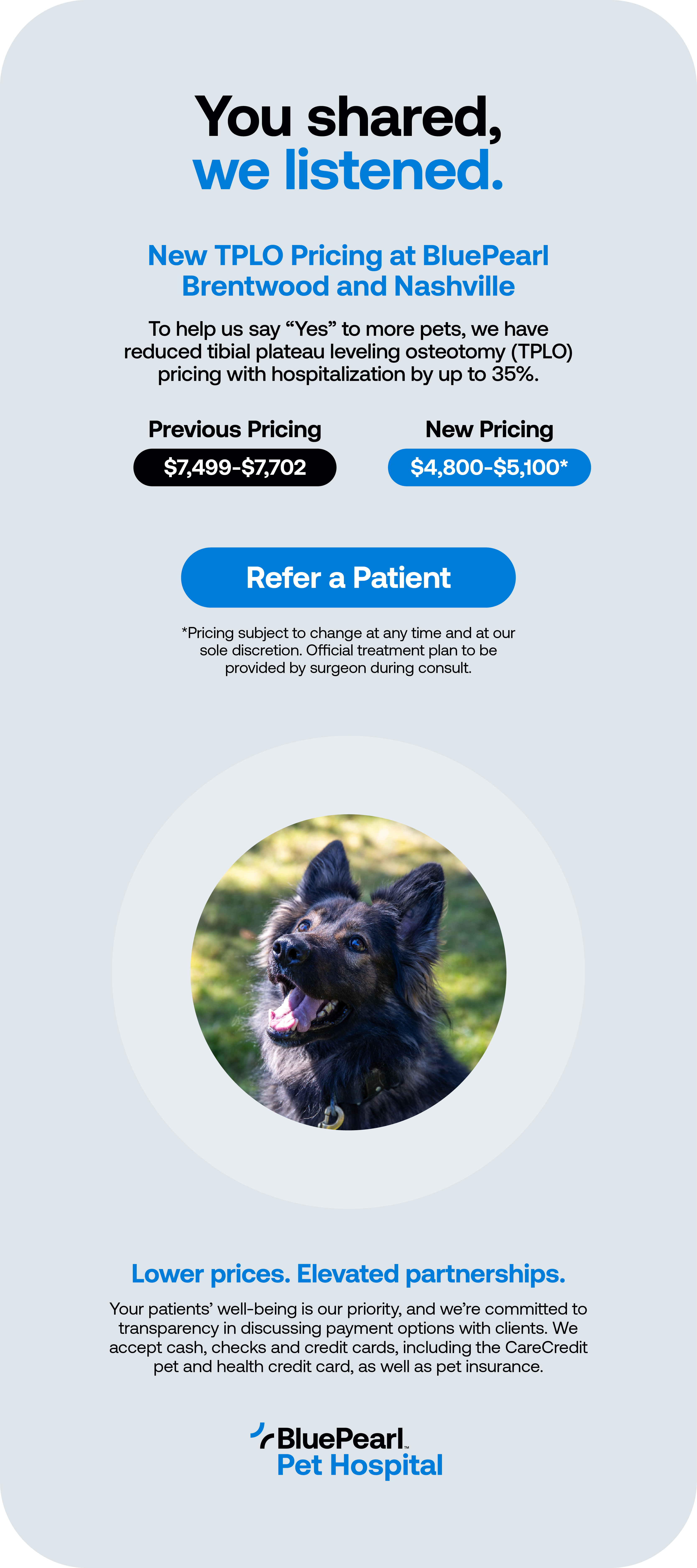 A banner graphic shows details about the pricing for TPLO surgery for pets at BluePearl Pet Hospital in Brentwood, Tennessee.