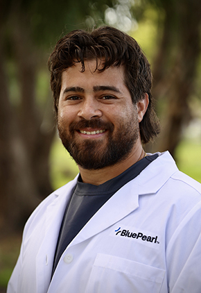 Dr. Cristhian Marques smiles outside for a professional headshot. He is wearing as grey shirt and his BluePearl whitecoat.