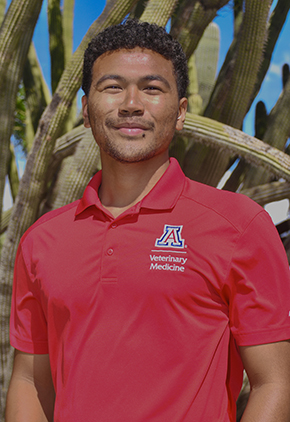Dr. Jason Simmons smiles outside in front of a large cactus. He is wearing a red University of Arizona College of Veterinary Medicine polo.