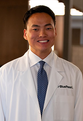 Dr. Christopher Minami smiles for a headshot in the lobby of BluePearl Pet Hospital. He is wearing a white dress shirt, blue tie and his whitecoat.
